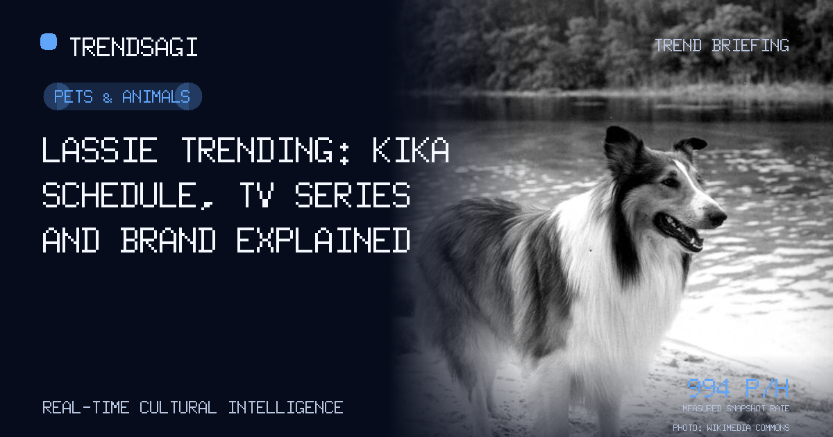 Photo of Lassie